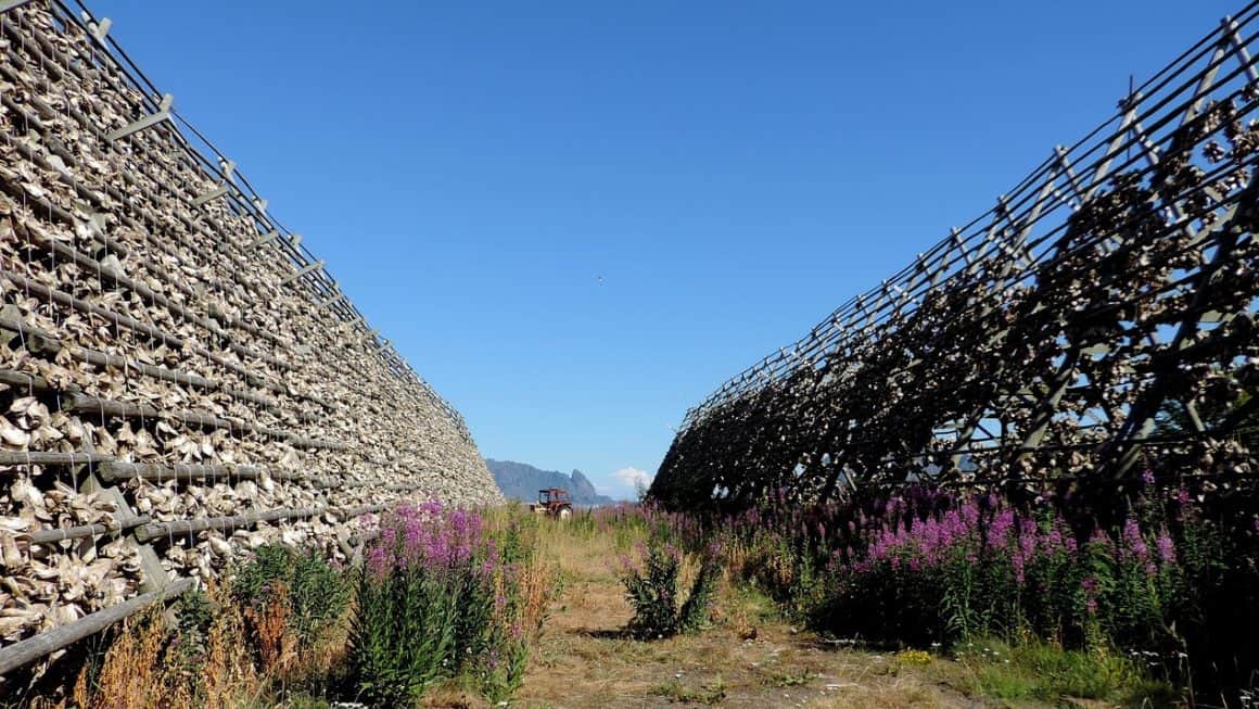 Kunst og kultur Utforsk de mangfoldige temaene